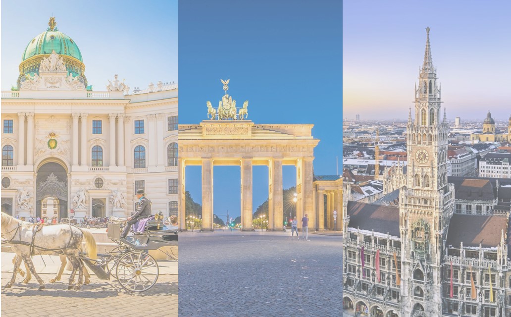 Brand Report Vergleich 2021